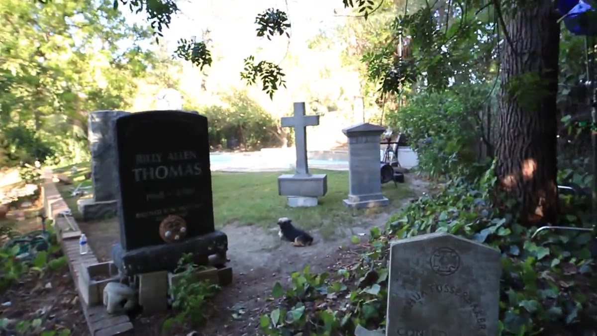 Discussing the last-minute cemetery location cancellation