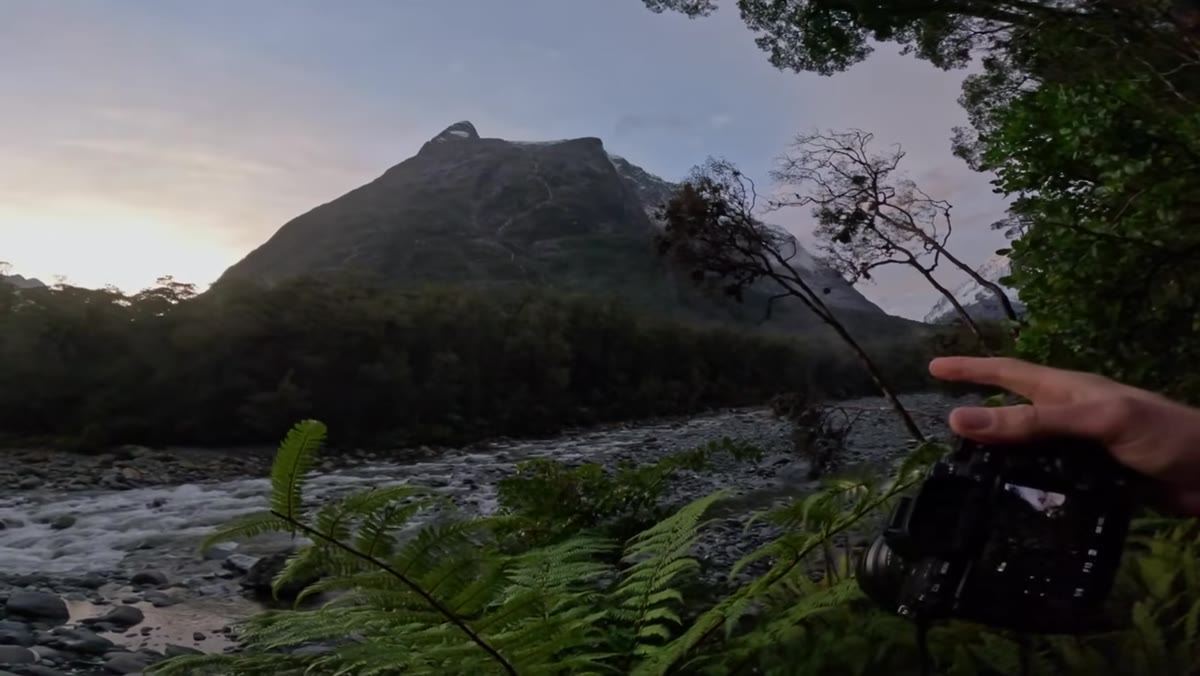 Photographer identifying dead tree interrupting the fern-river-peak sightline