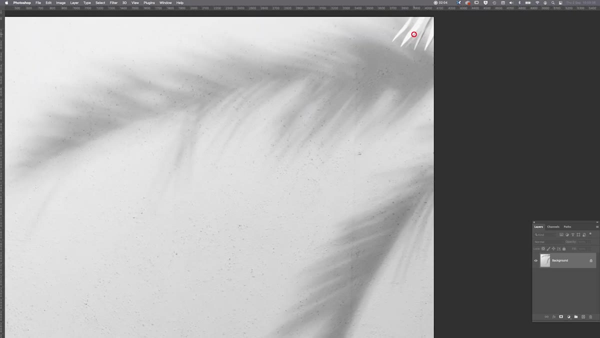 Paper palm leaf cutout visible in corner of test frame