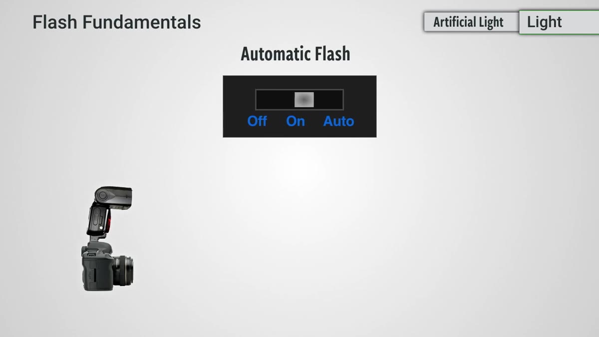 Diagram showing light leaving flash, hitting subject, bouncing back to sensor