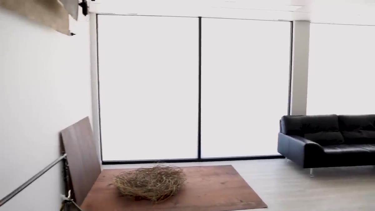 Wide shot showing large windows flooding the main studio with natural light