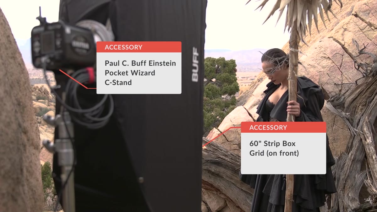 Einstein strobe in 60-inch strip box with grid attached