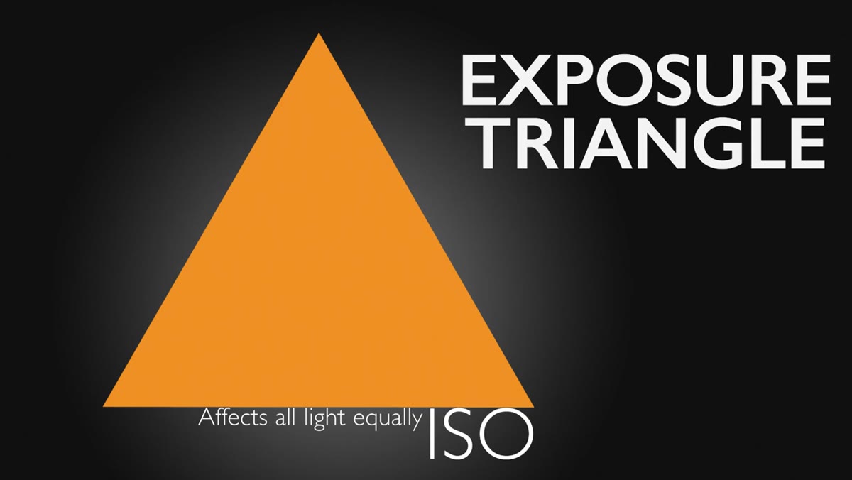 Camera settings display showing ISO 100
