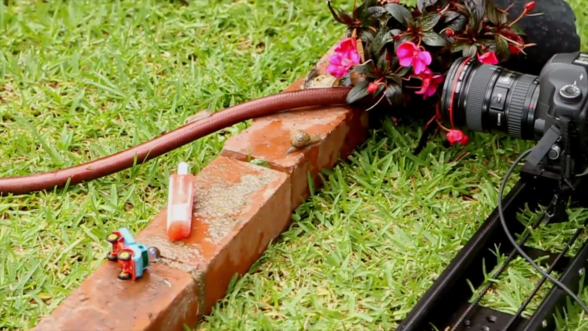 Camera positioned low, sliding along row of bricks