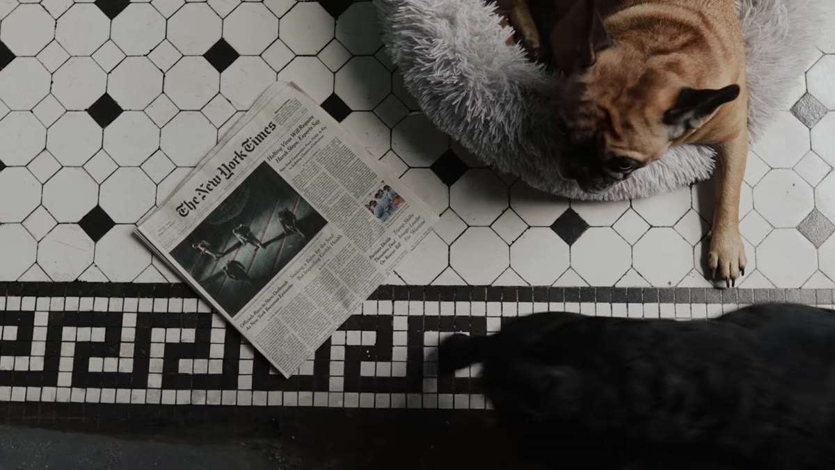 Subject standing against newspaper-covered wall