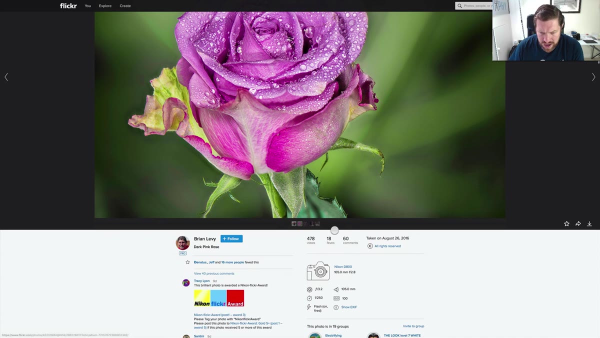 Dark pink rose image displayed, harsh flash shadows visible