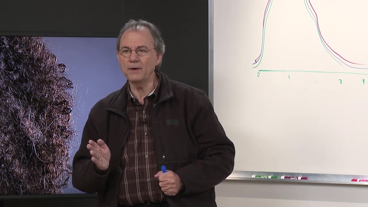 Corbell explaining why Flash and Daylight WB presets differ in-camera